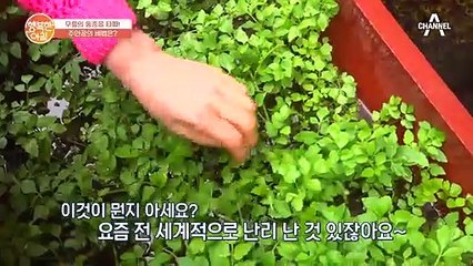 퇴행성 관절염을 극복한 주부가 챙겨먹는 'OOO'의 정체는?