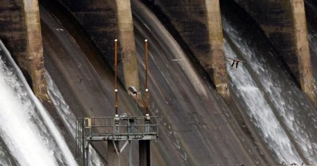 Bald Eagle Flies in to Catch a Fish