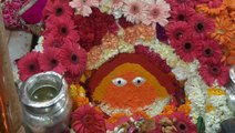 Bhajan Diary - चिंतपूर्णी माँ तेरे फूल बरसन लागे - Mata Rani Navratri Bhajan #navratribhajan