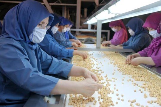 FİSKOBİRLİK, pandemiye rağmen ihracatta hız kesmedi