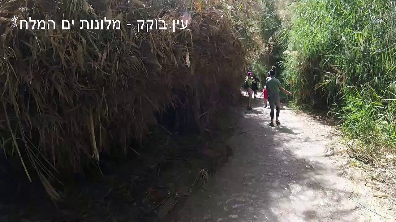 נחל עין בוקק מסלול והסבר