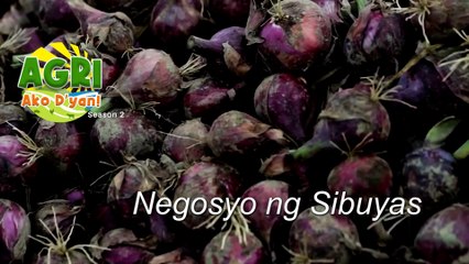 “ONIONS” Ep.3 AGRI Ako D’yan