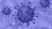 China probed weaponising coronaviruses in 2015: Reports
