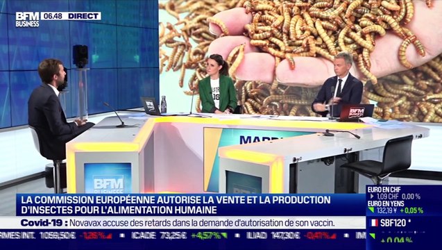 Clément Ray (InnovaFeed) : Vers la vente et la production d’insectes pour l’alimentation humaine - 11/05