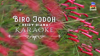 Heidy Diana - Biro Jodoh (Official Karaoke Video)