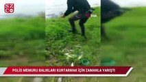 Polis memurunun balıkları kurtarmak için zamanla yarışı