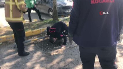 Otoparkta oynayan yavru köpekler çukura sıkıştı