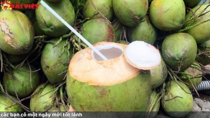 Mơ thấy dừa có tỉ lệ trúng cao nhất