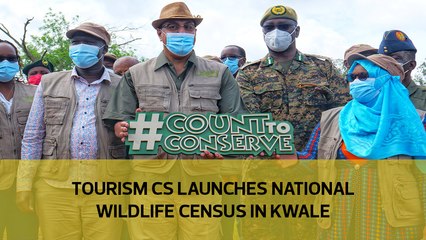 Tourism CS launches National Wildlife census in Kwale