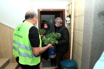 İpekyolu Belediyesi balkonları bahçeye çeviriyor