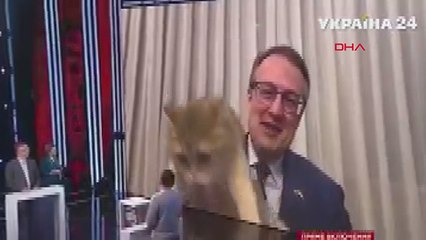 Ukraynalı bakanın konuşmasını kedisi böldü