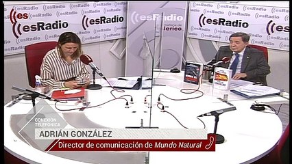 Mundo Natural: La importancia de las enzimas