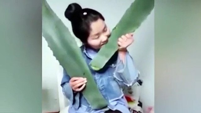 Canlı yayında yanlış bitkiyi yiyince hastanelik oldu