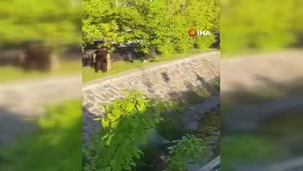 Çıkan kavgada dere yatağına atlayan yaralı şahsa böyle taş yağdırdılar