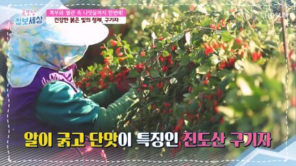 뱃살 타파! 혈관 속 나잇살까지 해결해주는 ‘○○○’은? TV CHOSUN 210507 방송