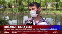 Beykoz'daki Riva Deresi siyah akıyor, yüzeyinde çamur yüzüyor