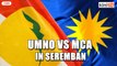 Seremban Umno Youth cuts ties with MCA over GE15 candidate