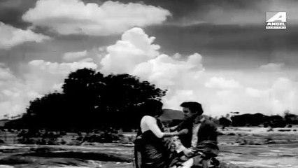 দুই ভাই(১৯৬১)~৪।বাংলা