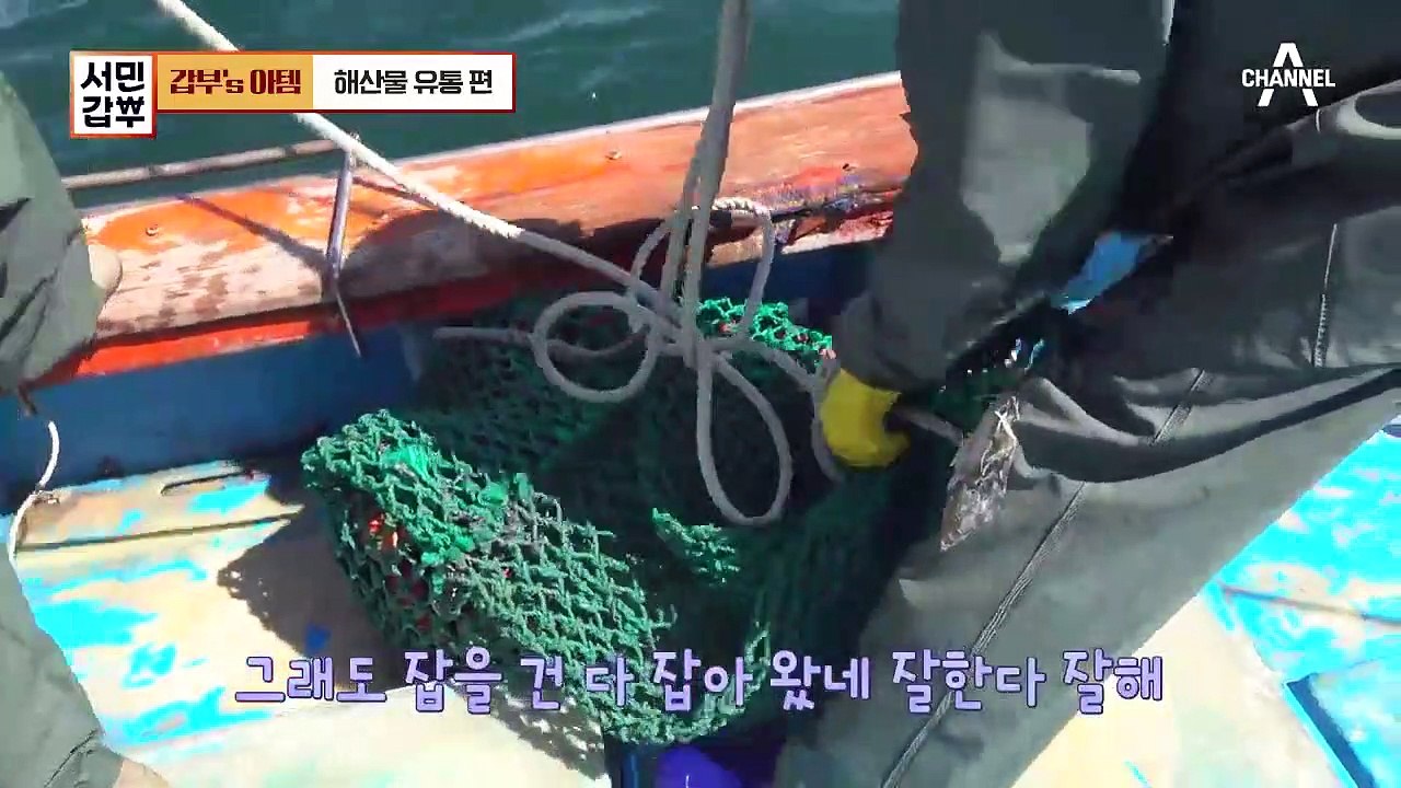 [갑부's 아템] ※침샘주의※ 식탁 위 자연산 해산물의 향연♬ 연 매출 18억 다이버의 성공 비결!
