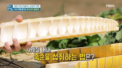 두달 수확해서 일년 내내~ 말린 죽순 활용하기 [죽순김치]①
