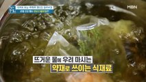 우려먹으면 말짱 도루묵? 영양 꿀팁 담은 [참당귀 차]