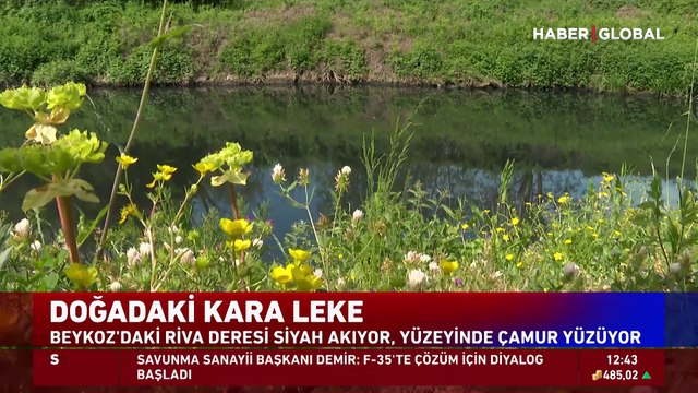 Riva'daki kara lekenin sorumlusu kim?