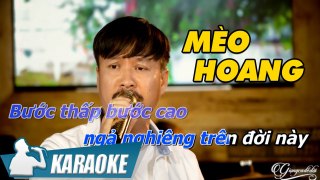 Karaoke Mèo Hoang Quang Lập (Tone Nam) - Karaoke Nhạc Vàng Xưa