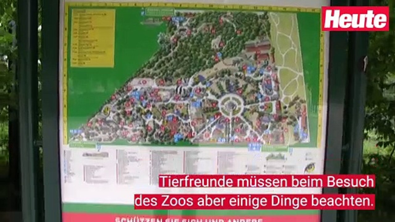 Tiergarten Schönbrunn öffnet wieder für Besucher