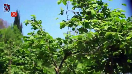 Uğurcan Çakır'dan, 83 yaşındaki Ahmet Dede'ye sürpriz