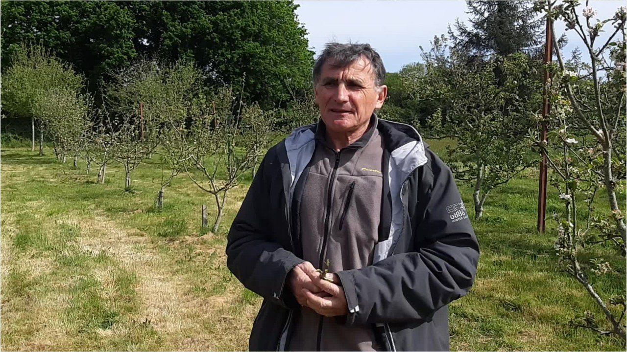 l'association AVALOU ATAO de Plougastel Daoulas (1)