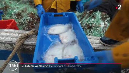 Bretagne : un week-end au Cap Fréhel