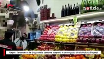 Napoli, l'arsenale e la droga della camorra scoperti in un negozio di ortofrutta a Bagnoli