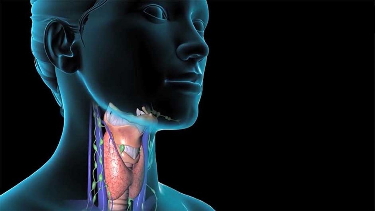 bd-relacion-de-la-tiroides-con-el-corazon-070521