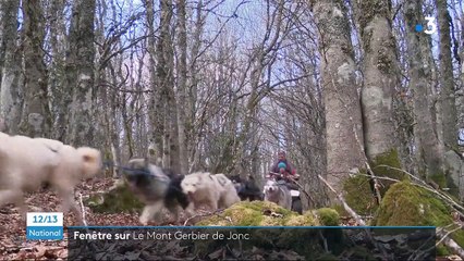 Ardèche : à la découverte du Mont Gerbier de Jonc, un volcan aux sources de la Loire