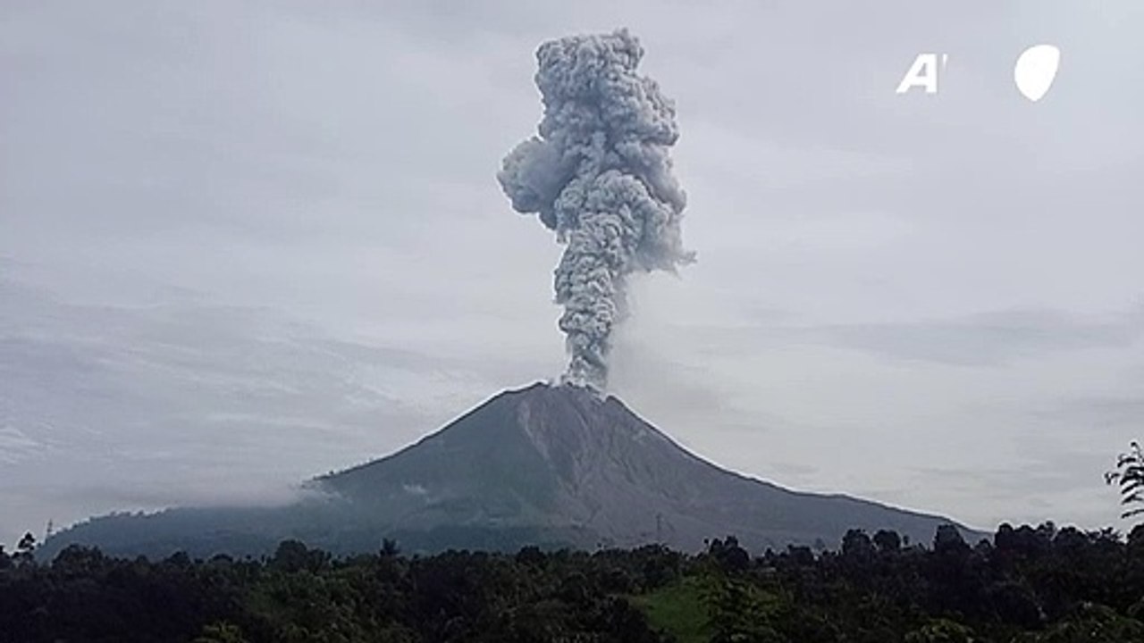 A força da natureza