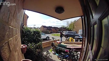 Guy Gets Bamboozled by Pigeons on Porch