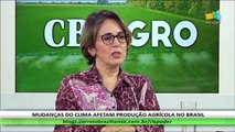 CB.AGRO: Fabiana Villa Alves, coordenadora, no Ministério da Agricultura, do ABC , programa de Agricultura de Baixo Carbono 2020-2030 - 07/05