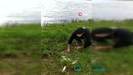 Son Dakika | Polis memurunun balıkları kurtarmak için zamanla yarışı