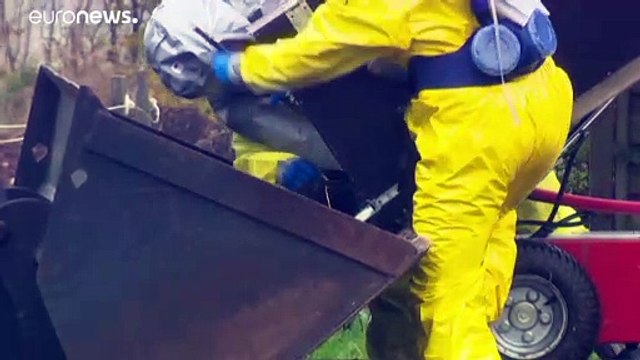 Dinamarca: Martas abatidas no final de 2020 vão ser incineradas