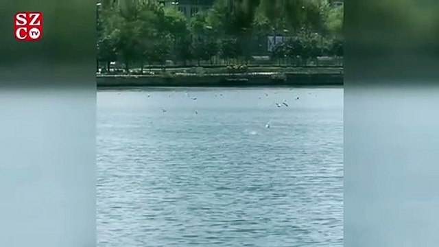 İmamoğlu, Bence sesi açıp sonuna kadar izleyin diyerek paylaştı