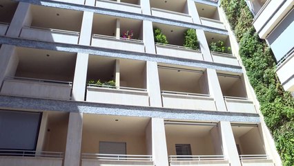 Descubren en Roma suntuosos mosaicos romanos en lo que iba a ser un estacionamiento