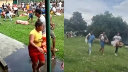 Vándalos protagonizan videos de robos a granjas de animales en Cauca