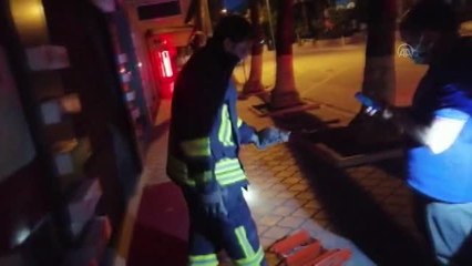 Muğla'da iş yerinin süsleme direğinin içerisine düşen kedi yavrusu kurtarıldı