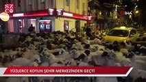 Yüzlerce koyun şehir merkezinden geçti
