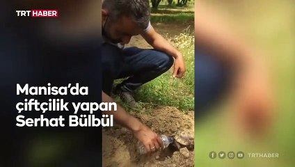 Kaplumbağa ile suyunu paylaşan çiftçi takdir topladı