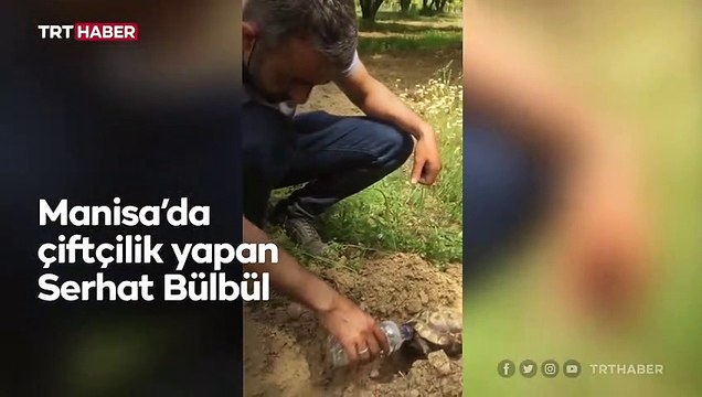Kaplumbağa ile suyunu paylaşan çiftçi takdir topladı