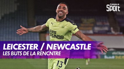 Les buts de Leicester / Newcastle - Premier League (J35)