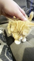 Boo Boo Coos When He’s Happy