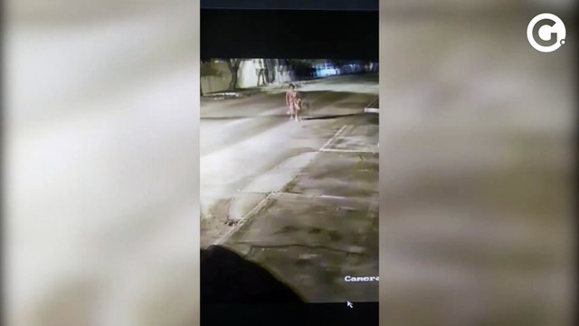 Jovem Bianca Soprani Lopes Ribeiro desapareceu na segunda-feira (3), após sair da casa no bairro Alvorada, em Vila Velha