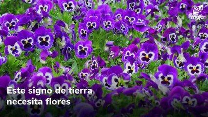 La flor ideal para regalarle a mamá según su signo zodiacal